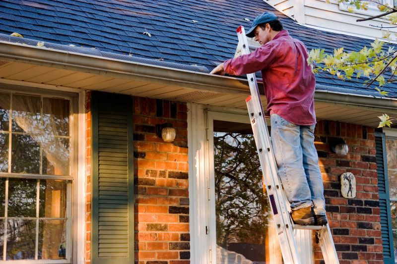 Gutter Maintenance in Summer